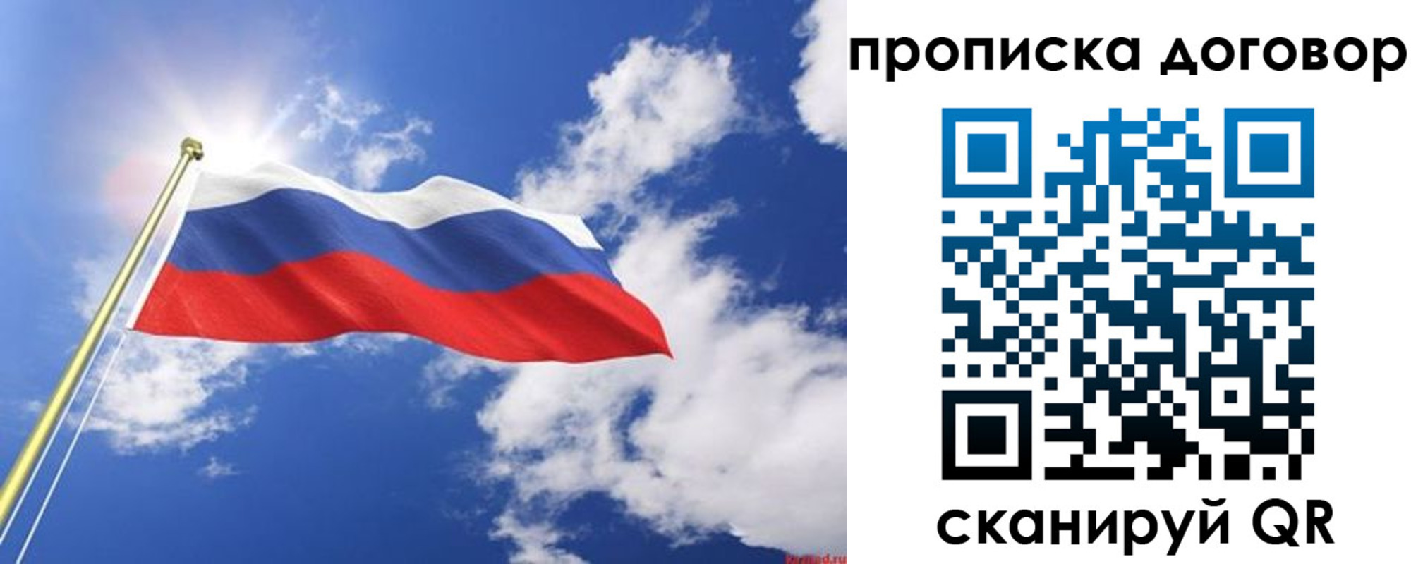 прописка гарантия в Кораблино